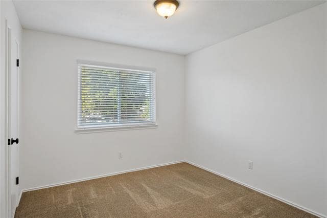 Building Photo - 2113 Live Oak Dr