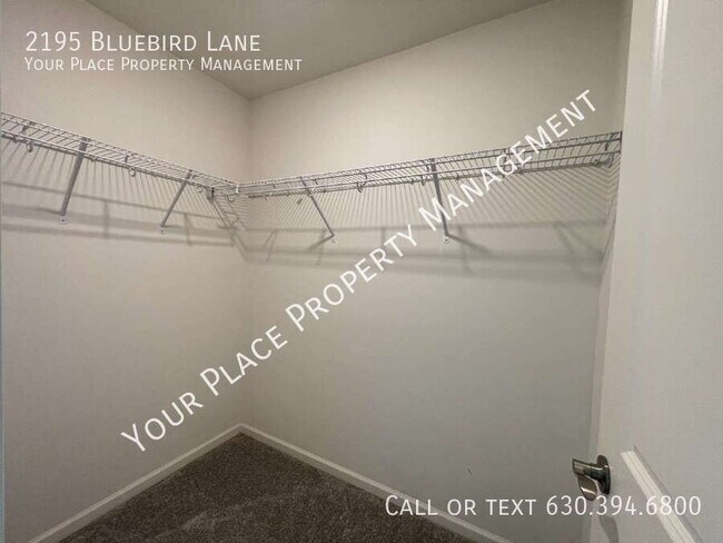 Building Photo - 2195 Bluebird Ln