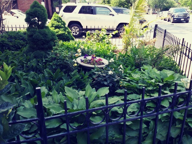 Building Photo - 17-31 Herrick Rd