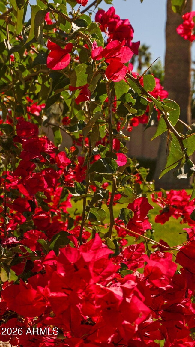 Building Photo - 8108 E Del Joya Dr