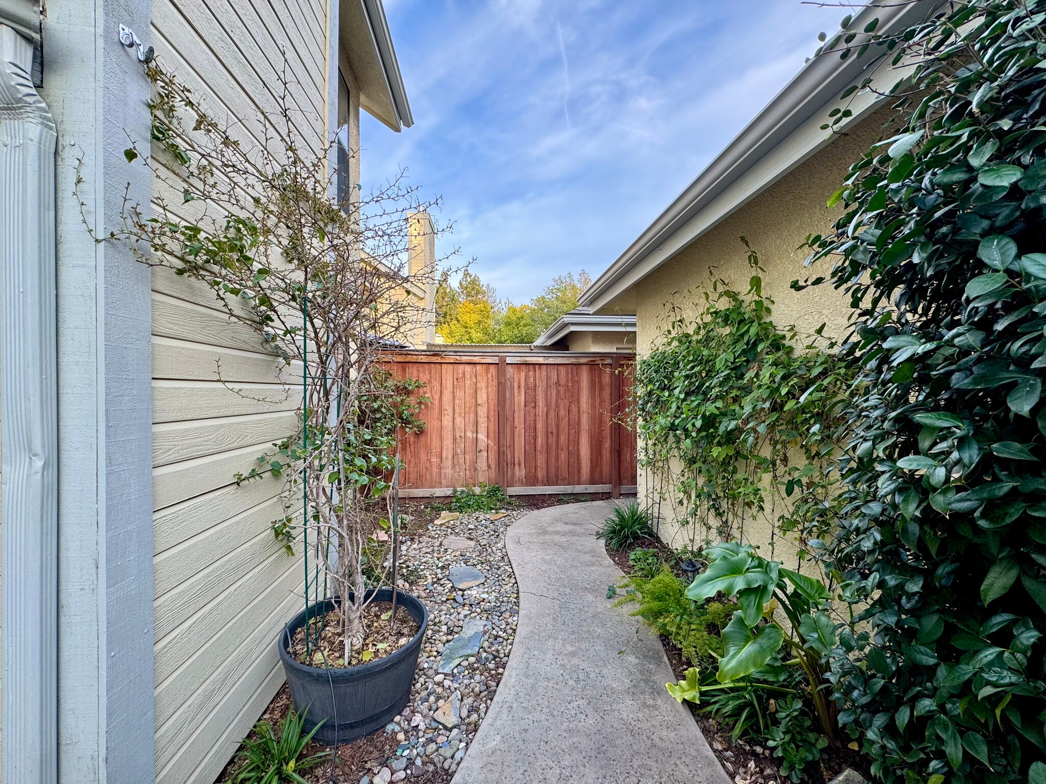 Backyard - 983 E Foxhill Dr