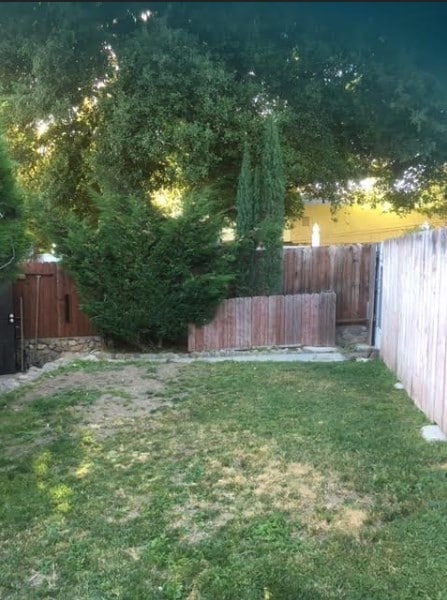 Front Yard - 3228 Montrose Ave