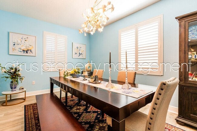 Building Photo - Charming and Immaculate, Updated 5/3 in Winter Garden's Alexander Ridge