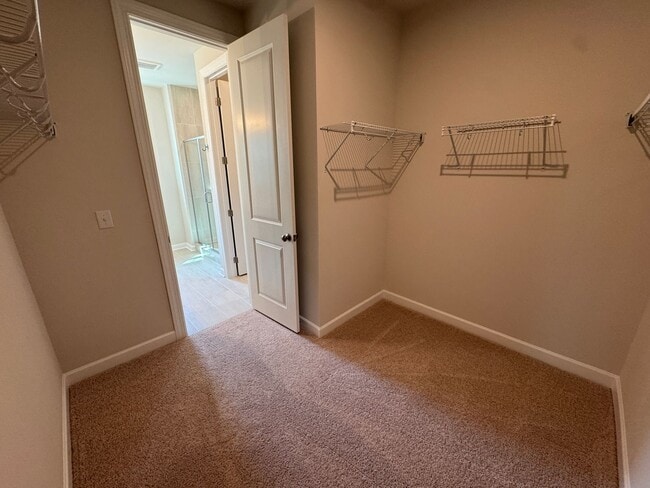 Building Photo - 4707 Cypress Tree Ln