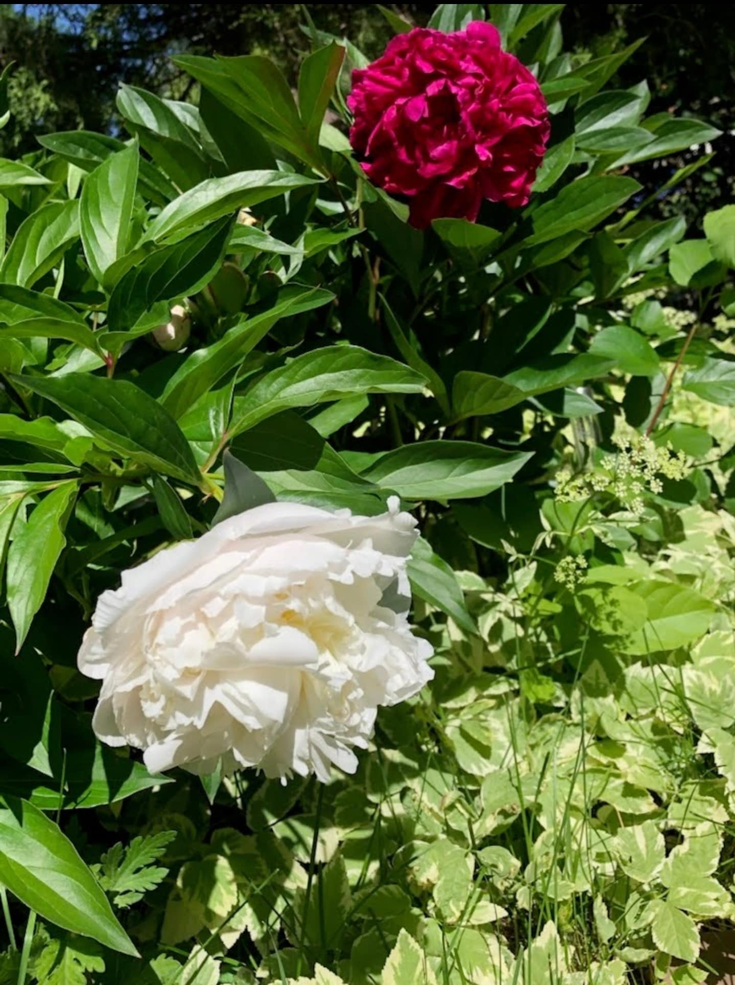 Building Photo - 2934 S Zurich Ct