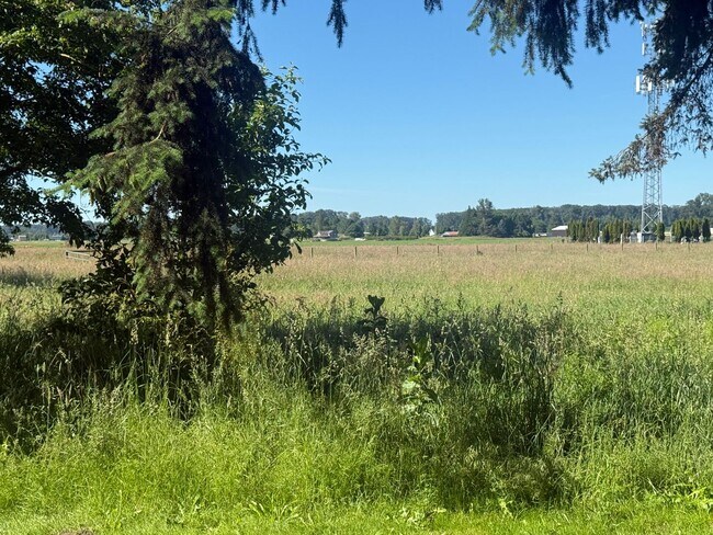 Building Photo - Large Mount Vernon Home on Acreage