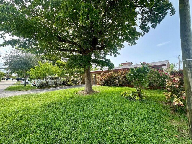 Building Photo - 51 NE 49th St