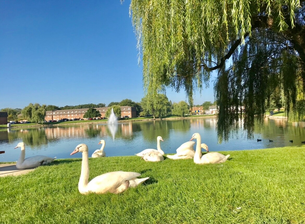 Lake - 9468 Bay Colony Dr