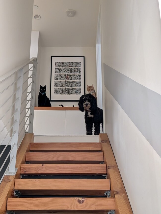 Building Photo - 800 Chestnut Ave