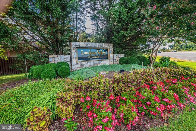 Building Photo - 22619 Upperville Heights Square