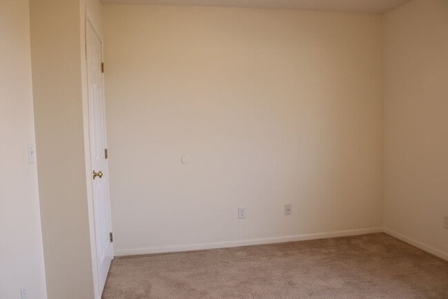 Building Photo - 2271 Shamrock Ln