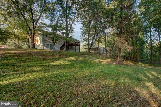 Building Photo - 311 Beech St