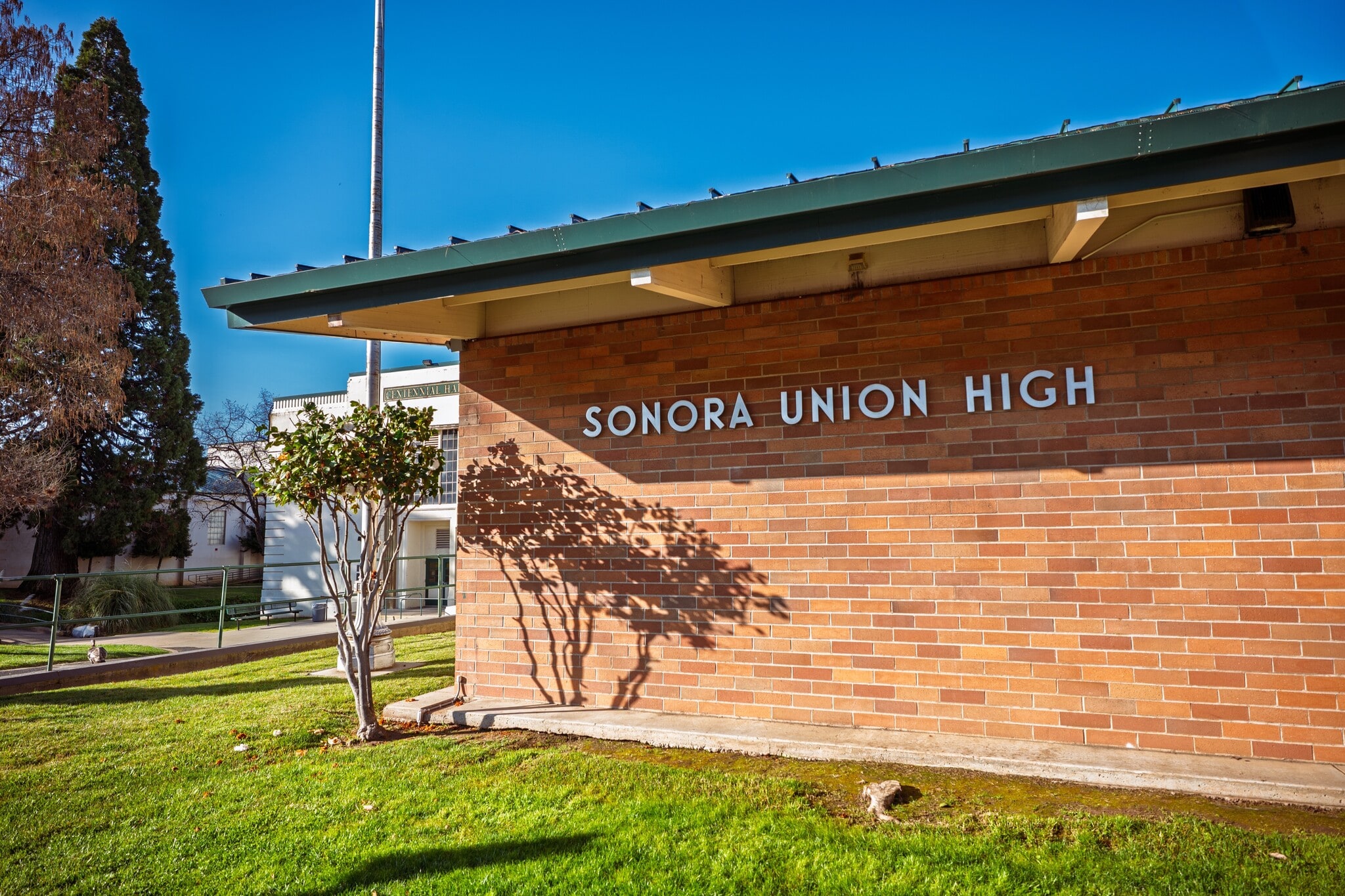 Building Photo - 951 Shaws Flat Rd