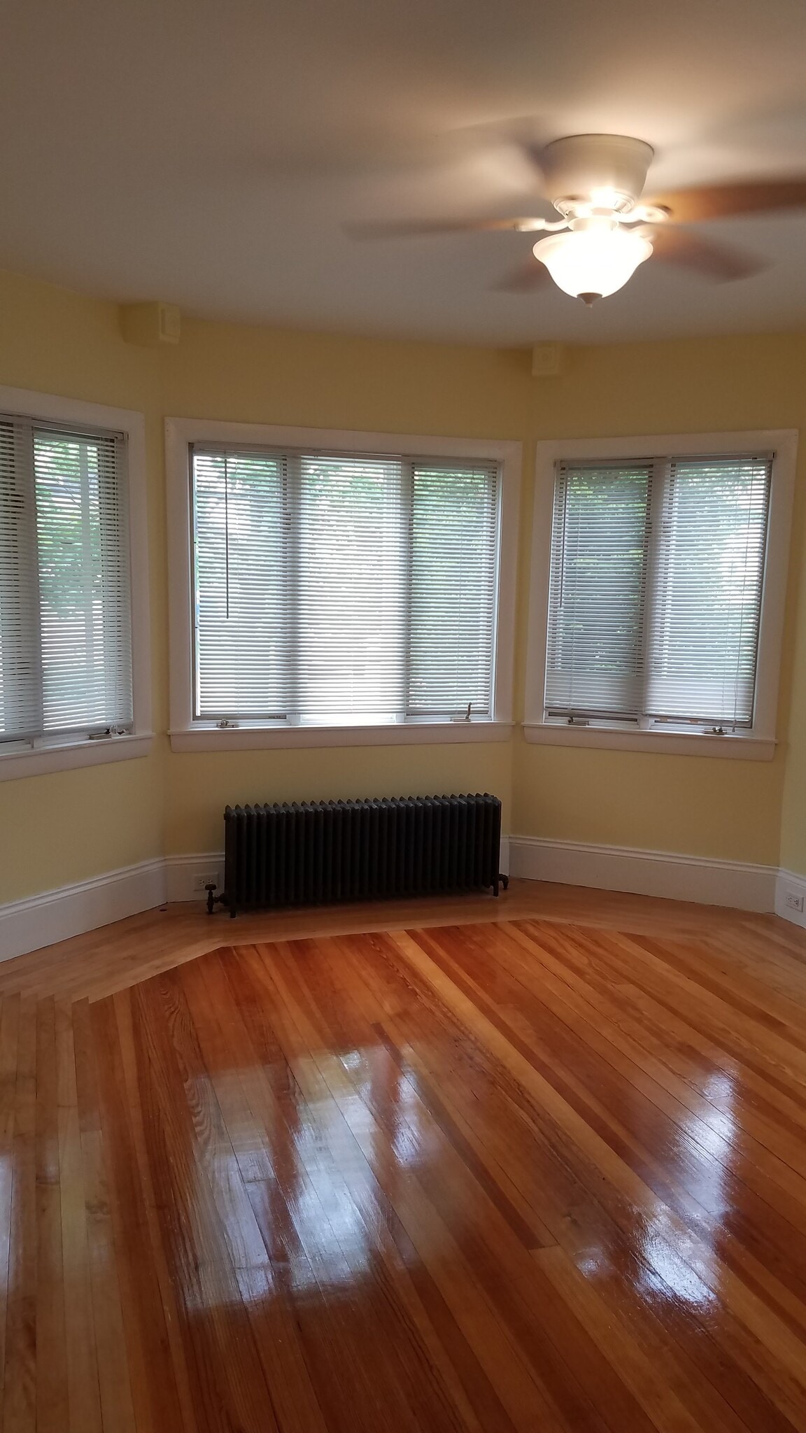 Living Room - 637 Dix St