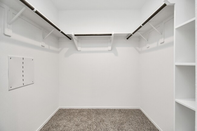 Building Photo - 5315 Castlebury Meadows Dr