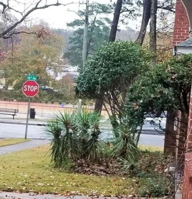 Building Photo - Lakebottom Park 2Bedroom