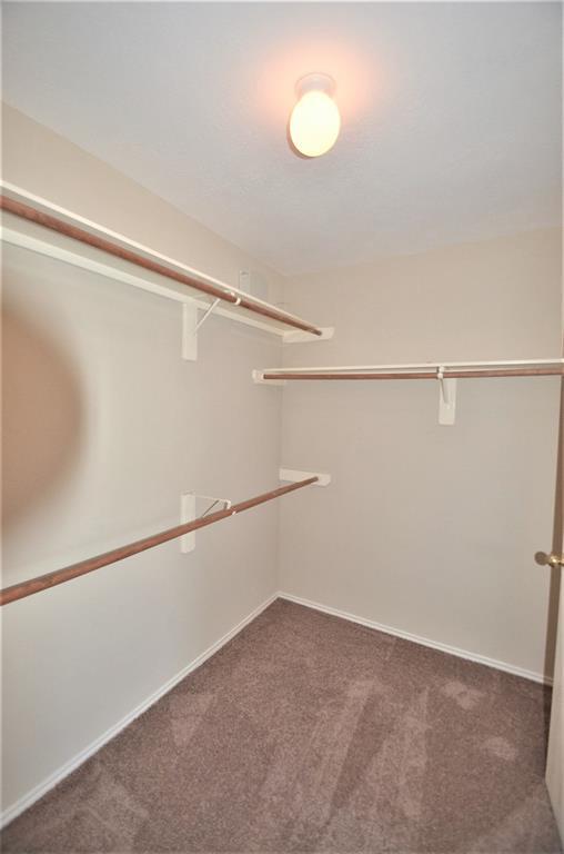 Building Photo - 4915 Winding View Ln