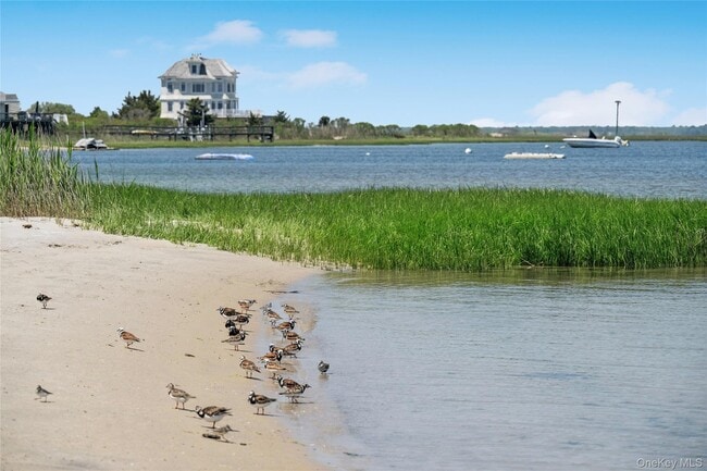 Building Photo - 846 Dune Rd