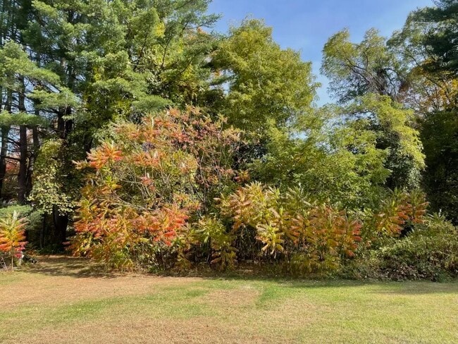 Building Photo - 814 Brattleboro Rd