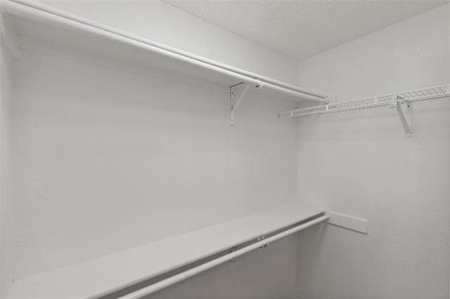 Building Photo - 4046 St Christopher Ln