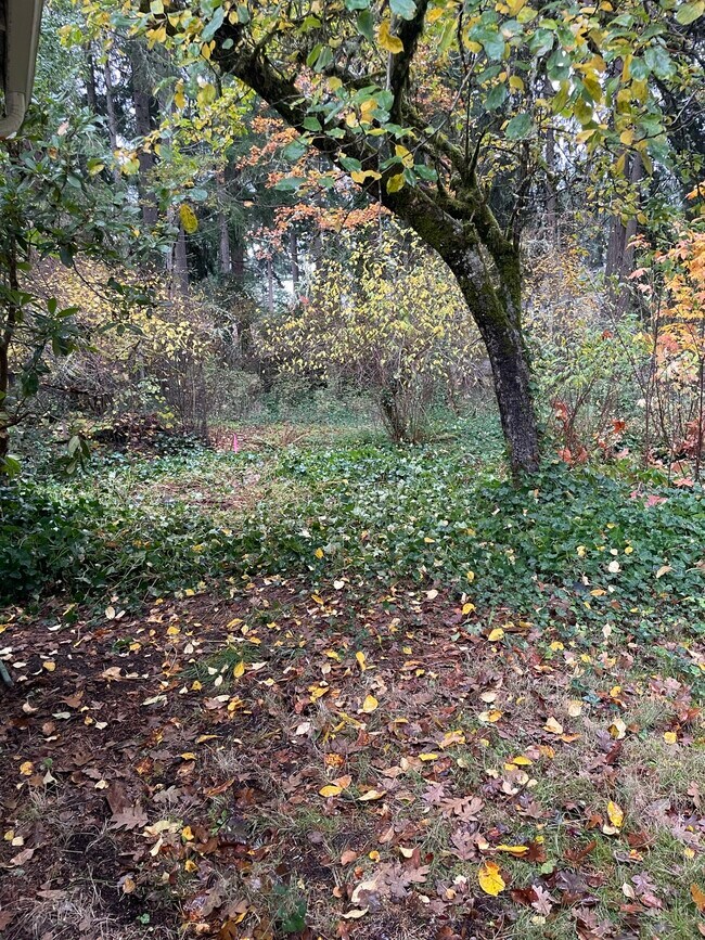 Building Photo - 8521 37th Ct SE