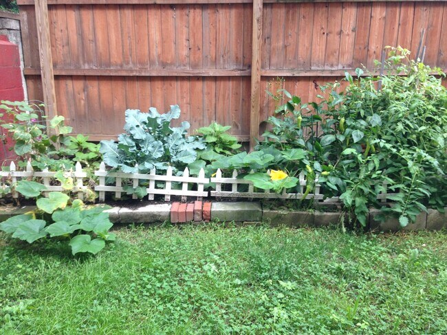 Building Photo - 104 S 18th St