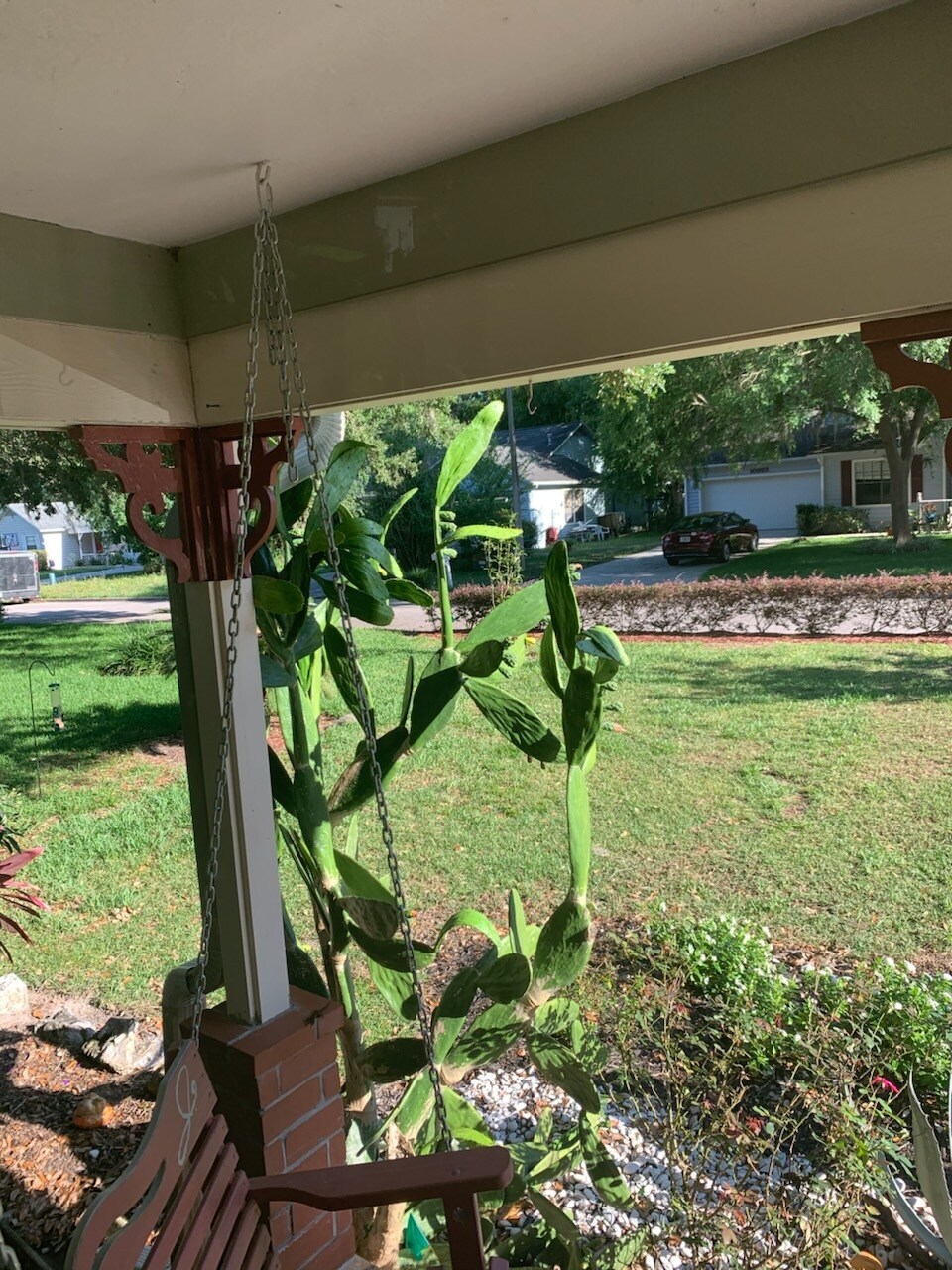 Front yard - 10928 NW 34th Pl