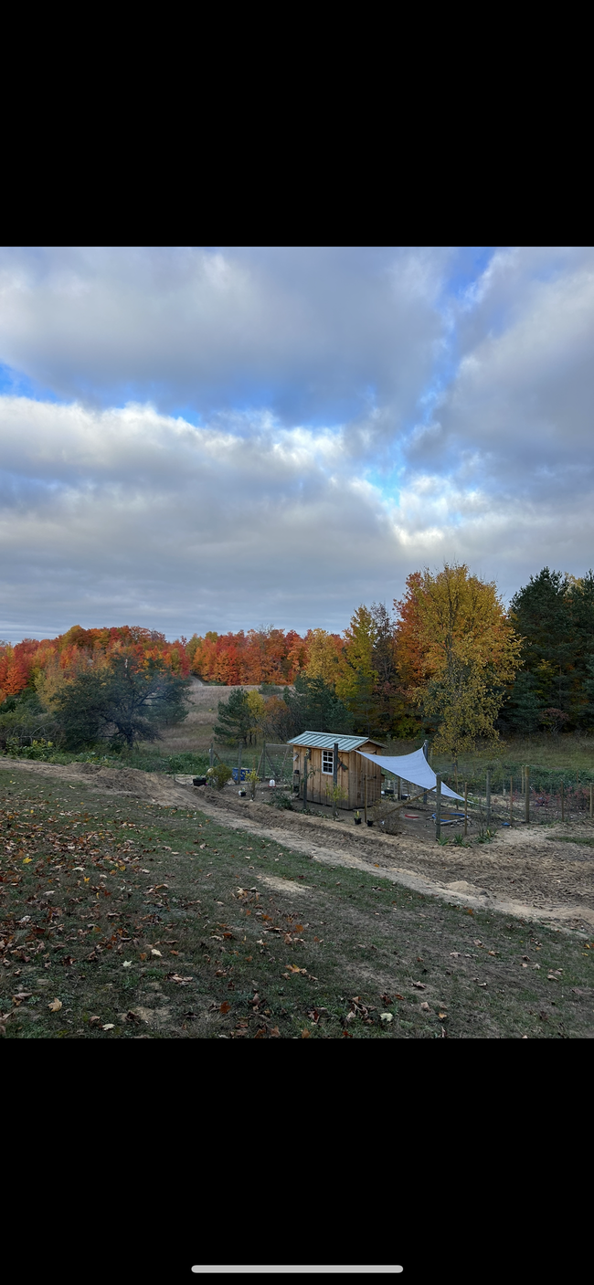 Chicken coop - 8481 Blackman Rd