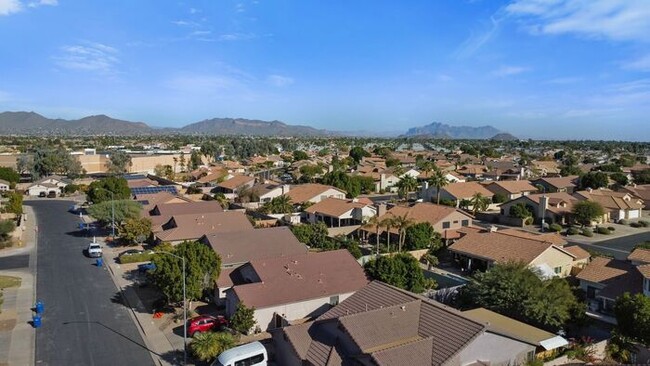 Building Photo - Beautiful Alta Mesa Home!