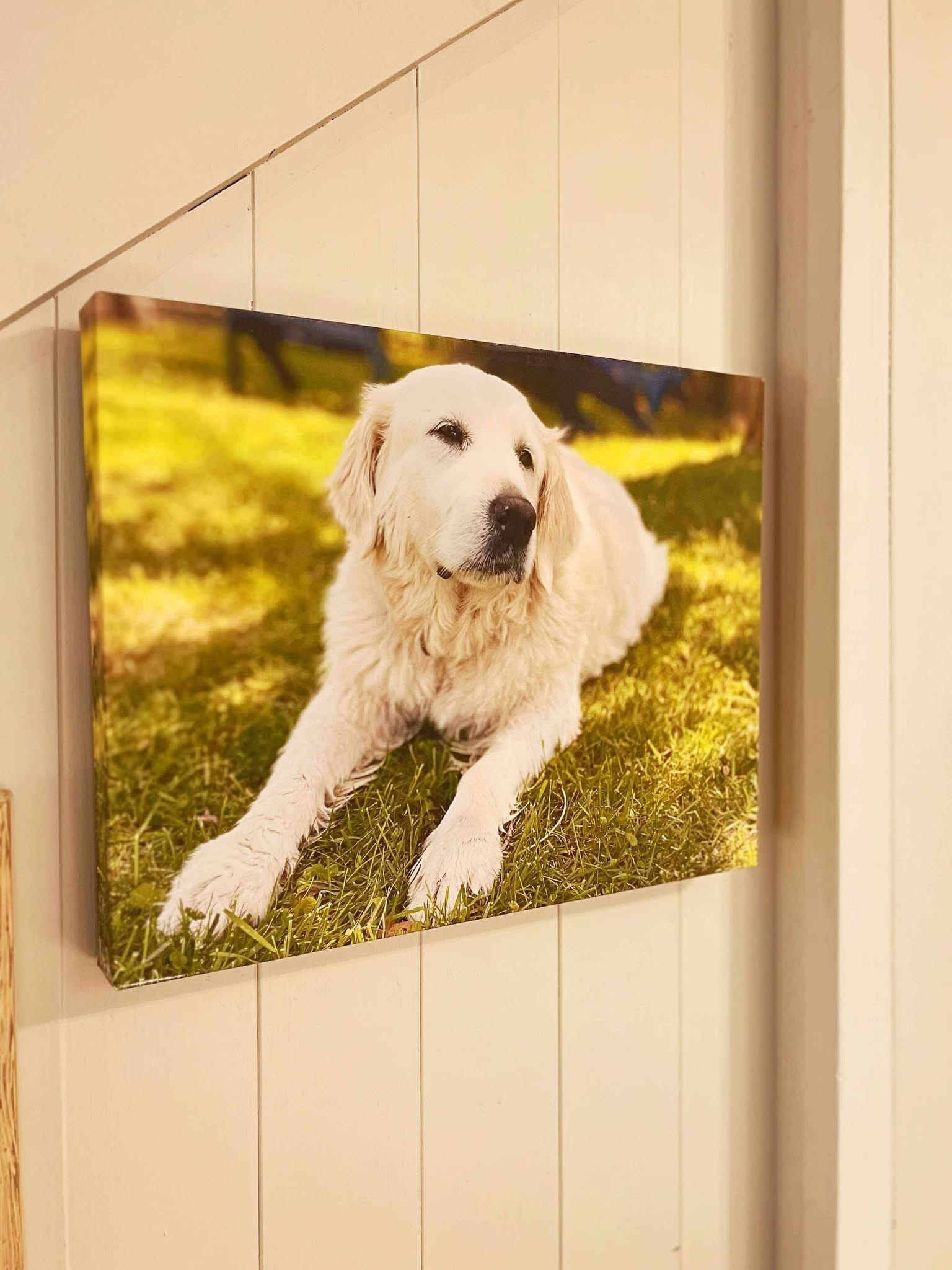 Living Room 4 - N7278 Birch Tree Rd