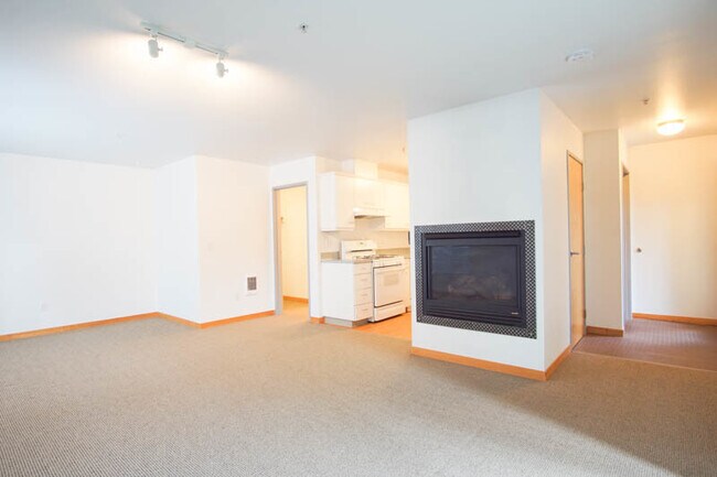 Building Photo - Very Spacious Studio w/Fireplace, Washer &...
