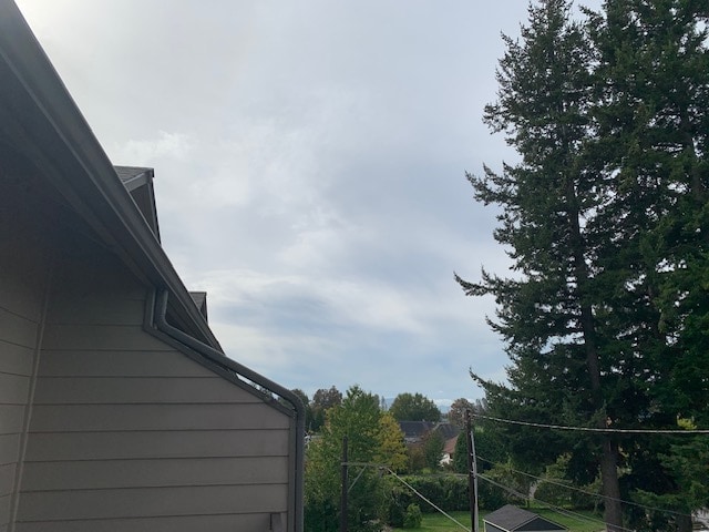 Deck view of tree line - 1991 Alder St