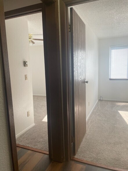 Two bedrooms at back of house have windows facing private back yard for maximum privacy - 240 W Kyle Dr