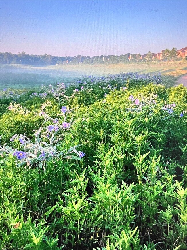 Building Photo - 107 W Spindle Tree Cir