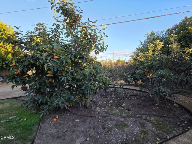 Building Photo - 448 Court Ave