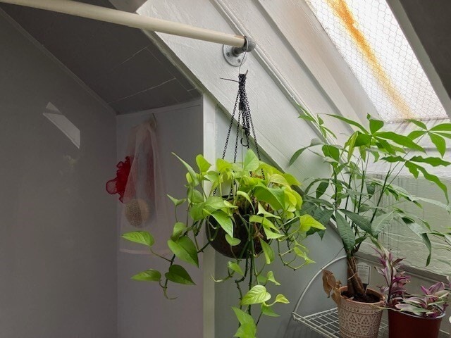 Building Photo - 96 Harrishof St