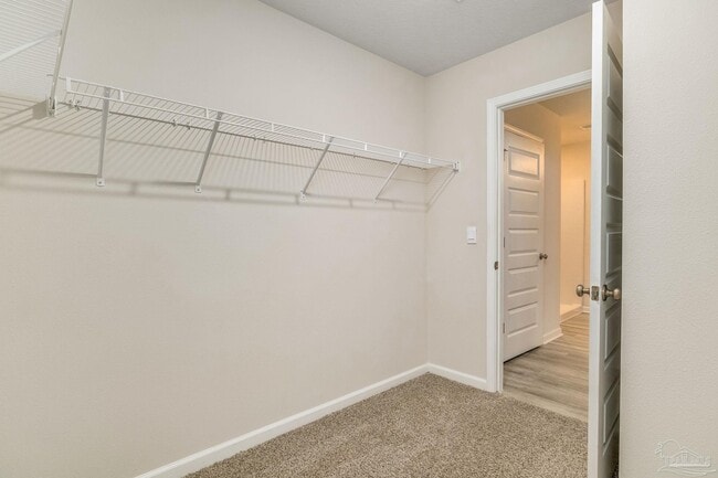 Building Photo - 4423 White Cedar Ct