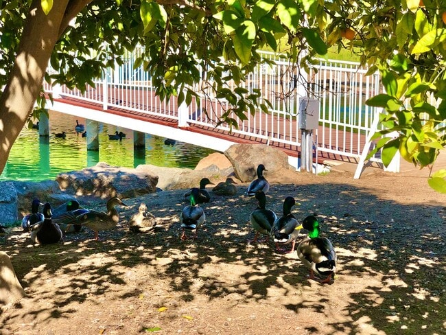 Building Photo - Awesome Updated Single Story in The Darling "Farm" Community of Wildomar, Close to Everything, bu...