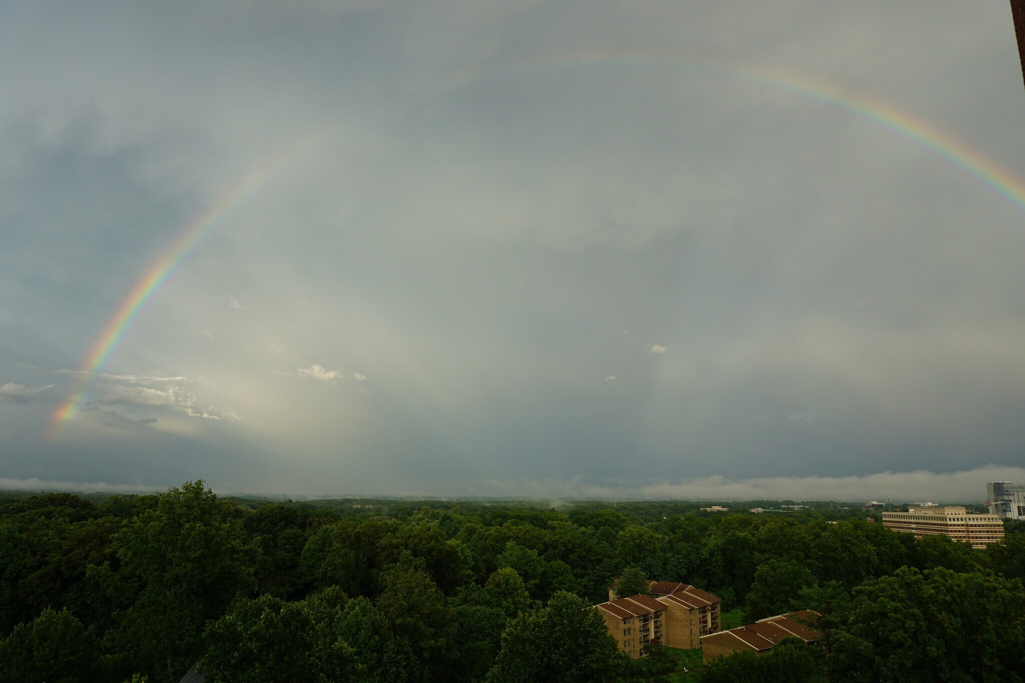East view from all rooms - 11776 Stratford House Pl