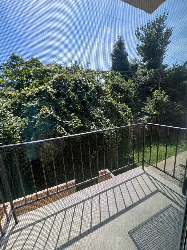 Building Photo - The Charlotte