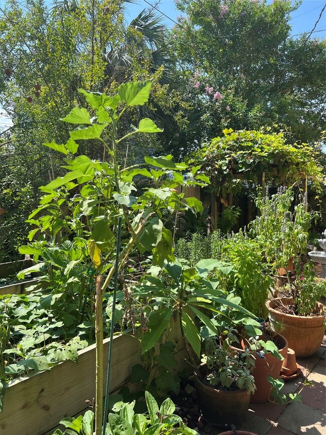 Building Photo - 1212 Postoffice St