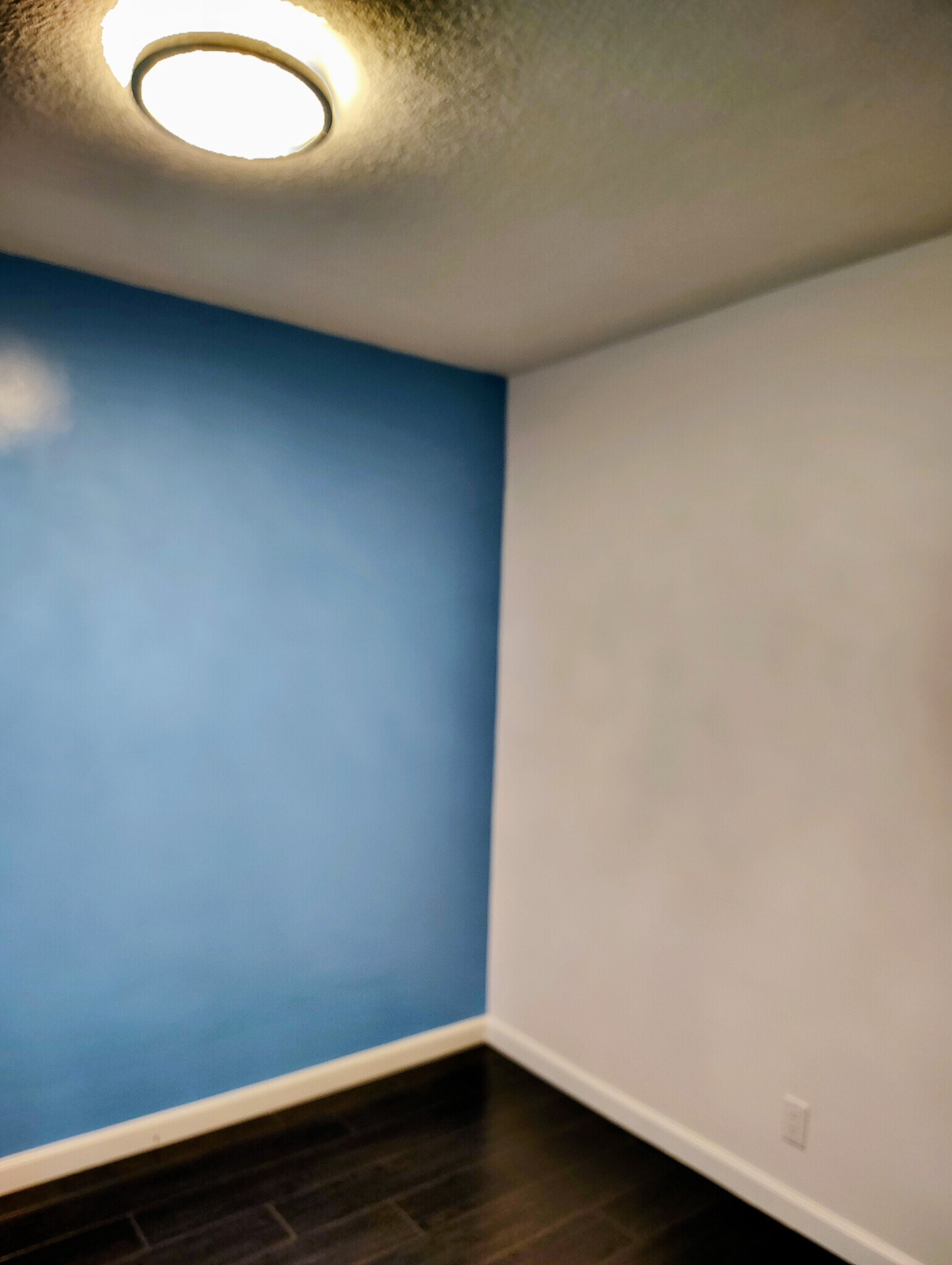 ACCENT WALL IN DINING AREA - 1217 S Orange Grove Ave