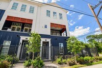 Building Photo - 703 Bringhurst St