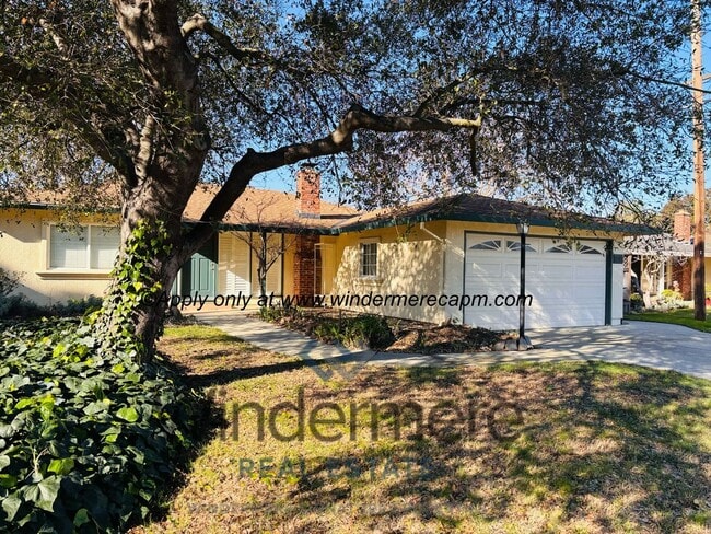 Primary Photo - Charming 2 bedroom with HUGE yard in beaut...