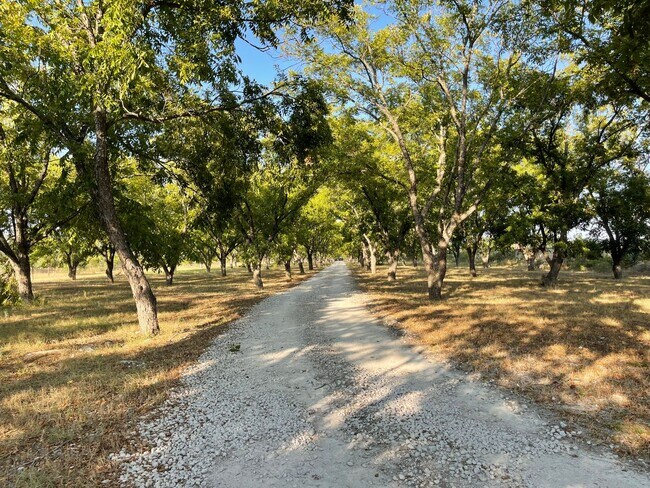 Building Photo - NEW ON MARKET /// RIVER FRONT CABIN AVAILABLE!!