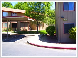 Primary Photo - Lakeport Village