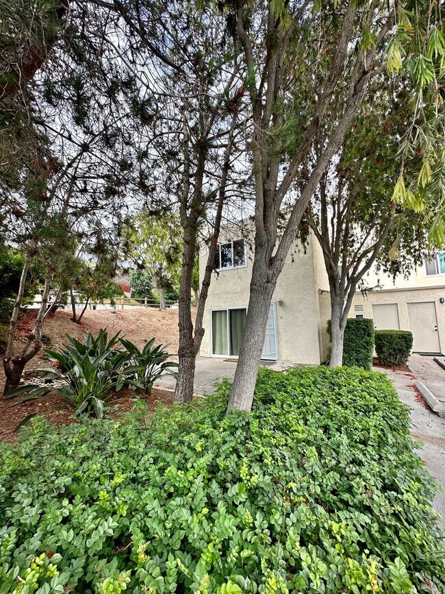 Building Photo - Beautiful home in Linda Vista across from USD