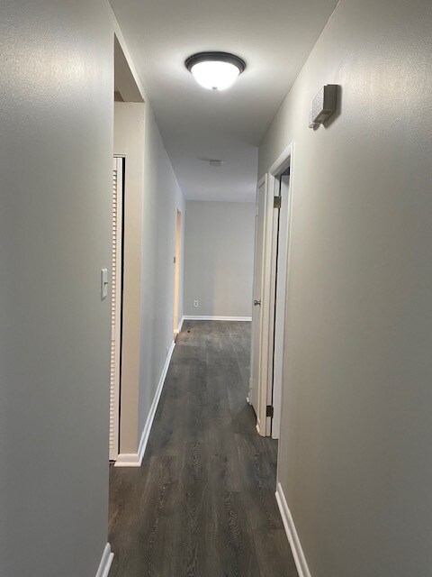 Building Photo - 230 Healy Ave