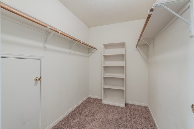 Building Photo - 5007 Oak Stand Ct