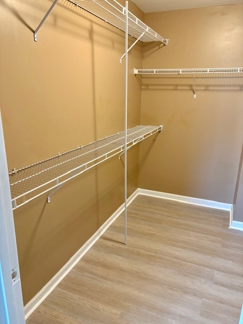 Building Photo - 1221 Turtle Dove Dr